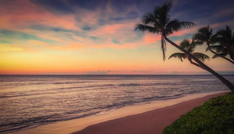 imagen beach strand 182 195671 20190723121335