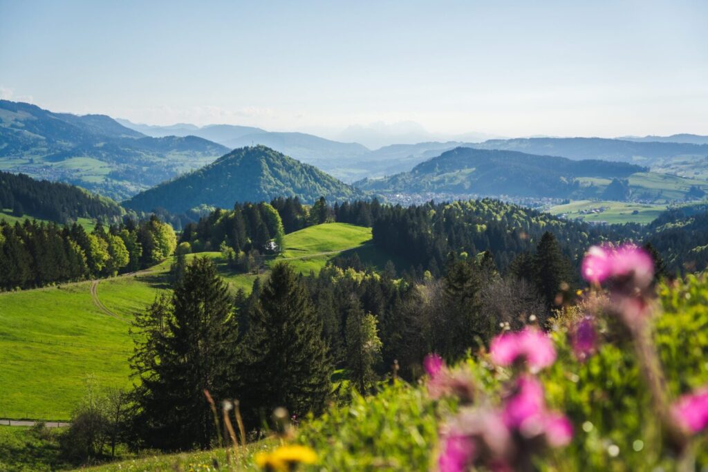 2026 Allgaeuer Natur c Oberstaufen Tourismus Marketing GmbH Moritz Sonntag scaled 2